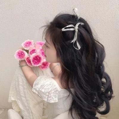 花生总统的心灵鸡汤 海报