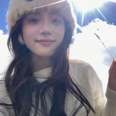 拦截火狐狸 海报