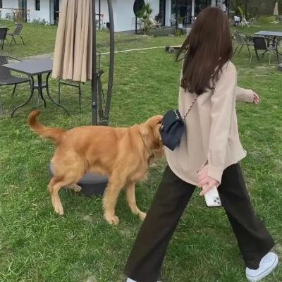 哎哟母亲大人 海报